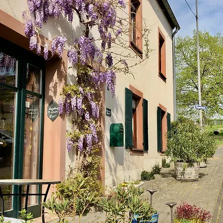 Ferienweingut Matthias Loewen Appartement Detzem Buitenkant foto