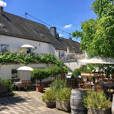 Ferienweingut Matthias Loewen Appartement Detzem Buitenkant foto