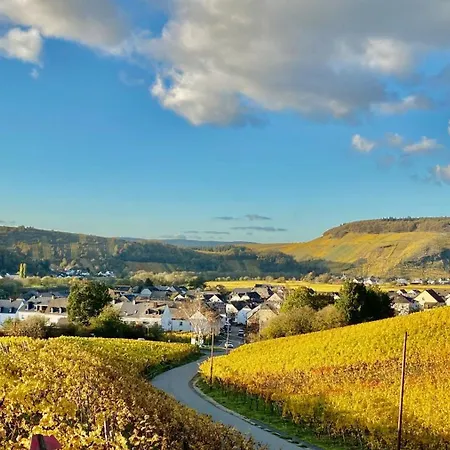 Ferienweingut Matthias Loewen Appartement Detzem Buitenkant foto