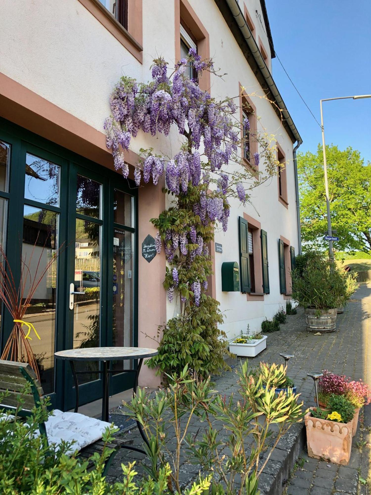 Ferienweingut Matthias Loewen Detzem