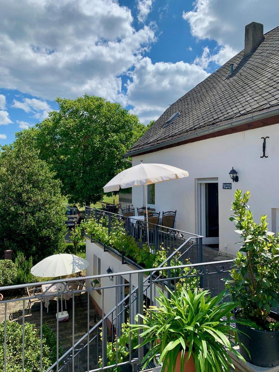 Ferienweingut Matthias Loewen Detzem