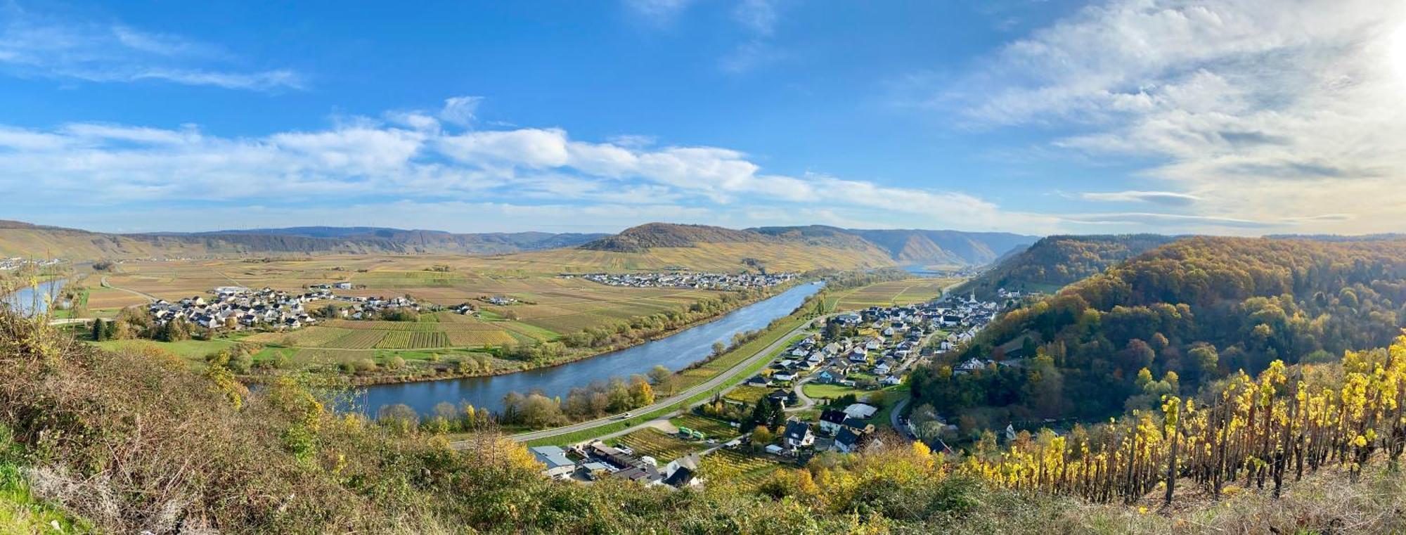 Ferienweingut Matthias Löwen *