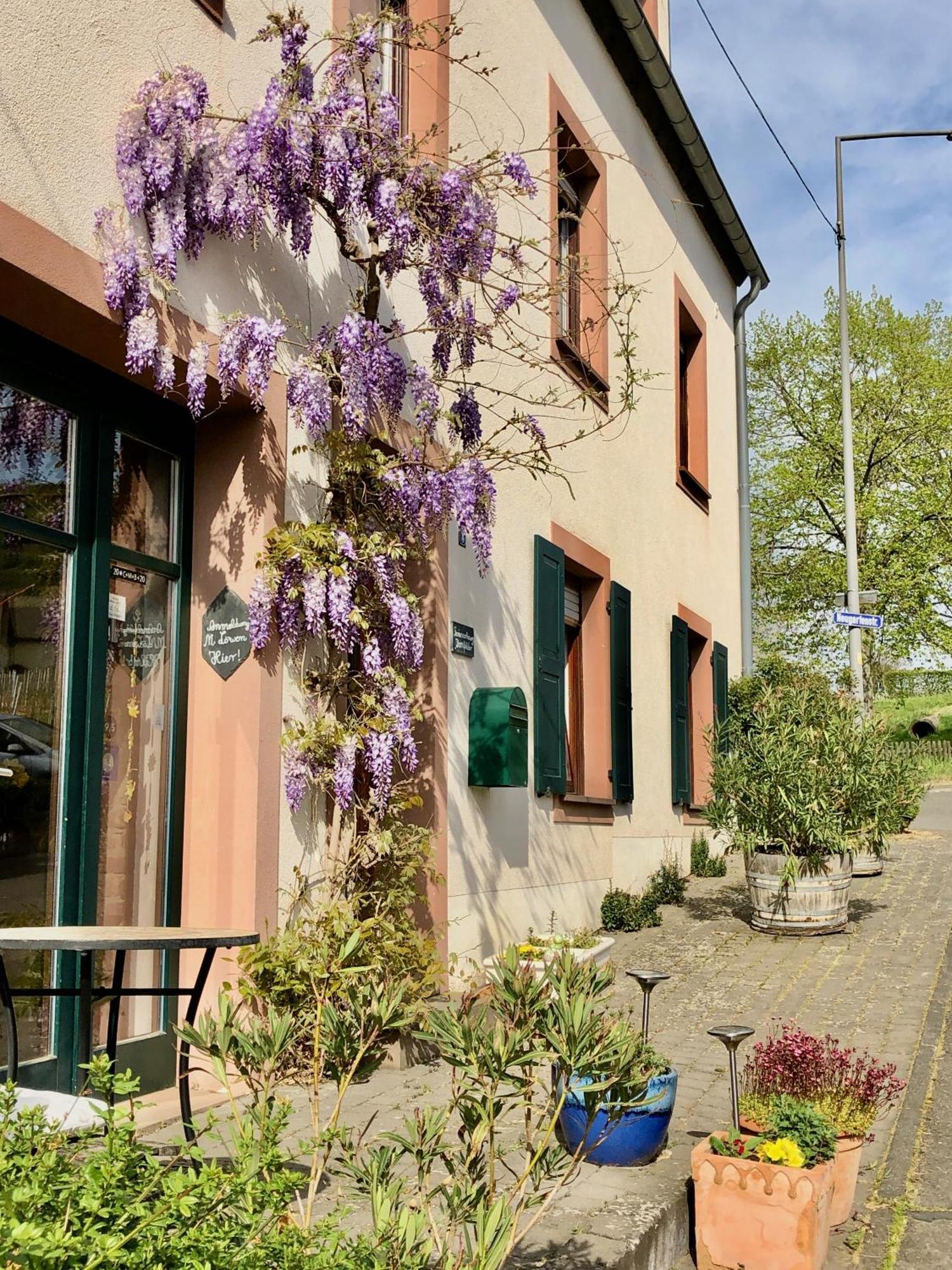 Ferienweingut Matthias Loewen *