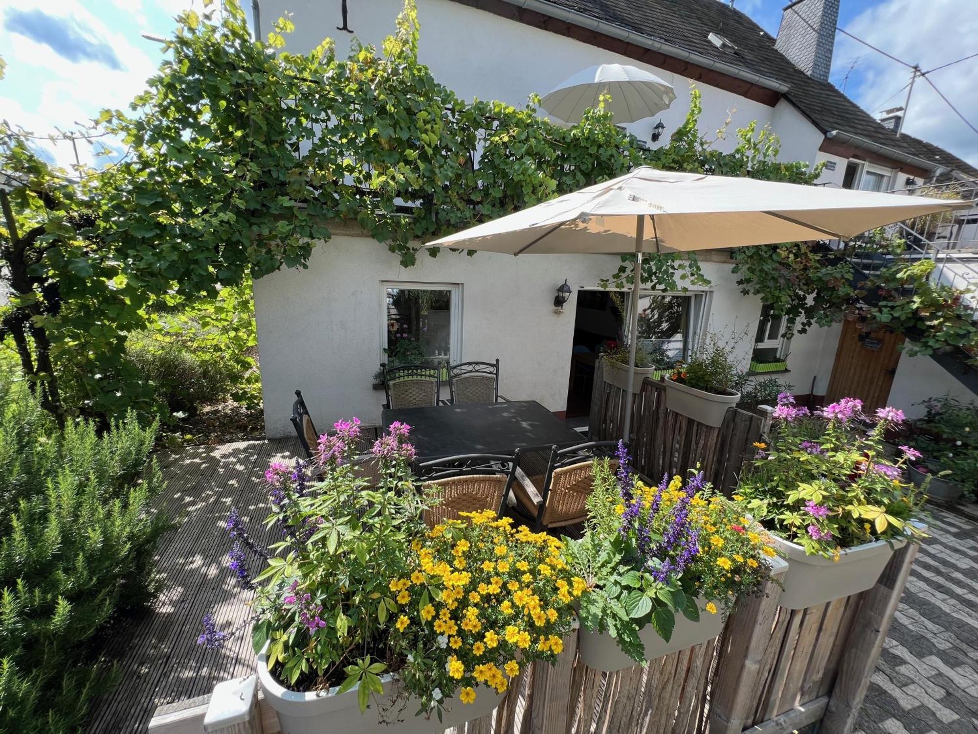 Apartment Ferienweingut Matthias Löwen