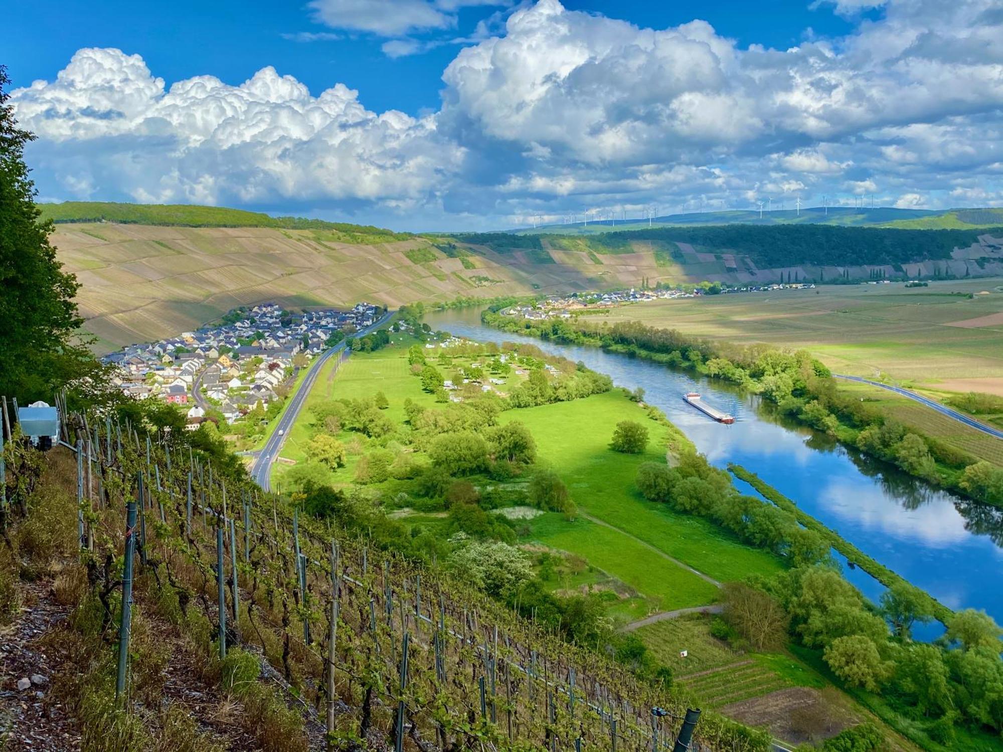Ferienweingut Matthias Loewen Apartment Detzem